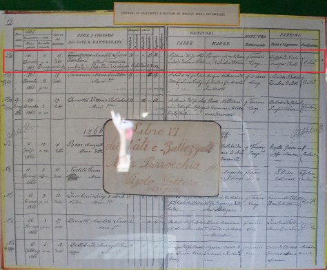 Nascimento Amabile Visintainer